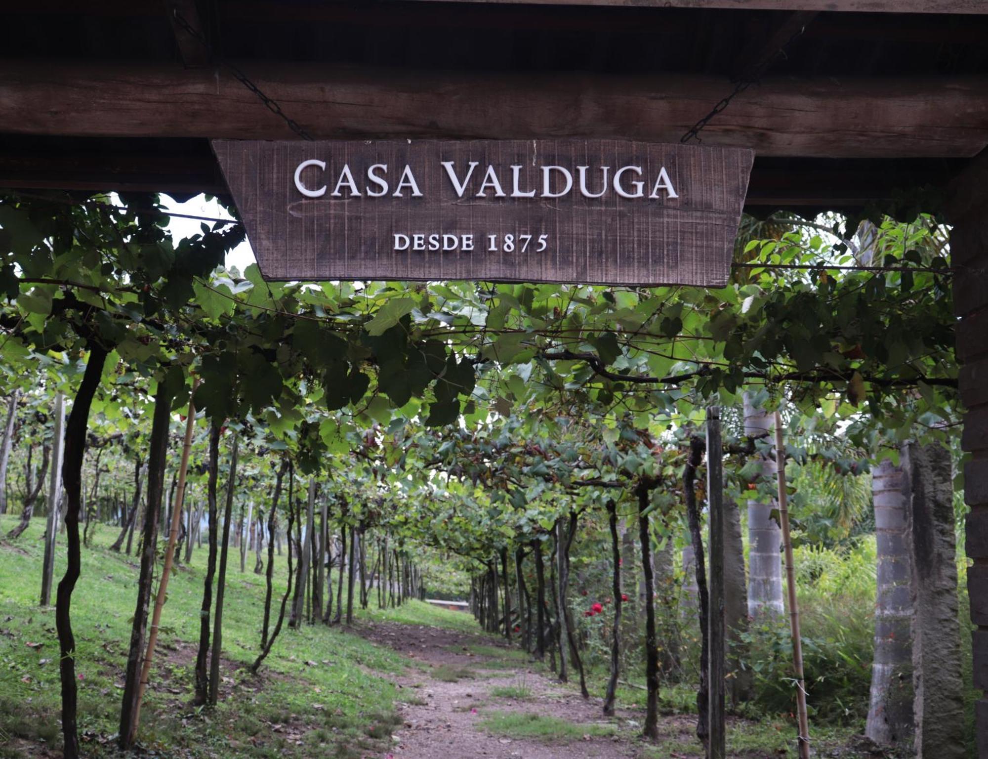 Casa Valduga Pousada Boutique Bento Gonçalves Esterno foto